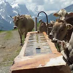 Holiday home Altogold Swiss Holidays At Manor Farm 5* Interlaken
