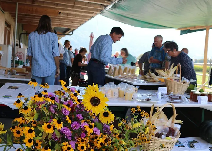 別荘 Altogold Swiss Holidays At Manor Farm 5* インターラーケン