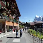 Altogold Swiss Holidays At Manor Farm 5* Interlaken