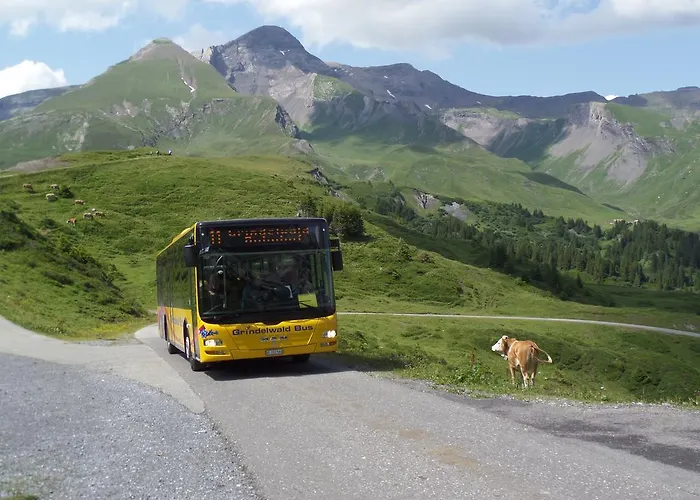 Altogold Swiss Holidays At Manor Farm 5*